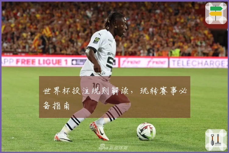 世界杯投注规则解读，玩转赛事必备指南