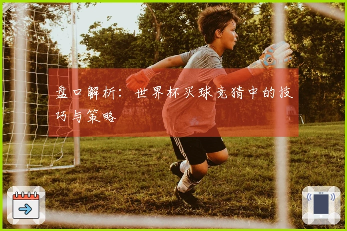 盘口解析：世界杯买球竞猜中的技巧与策略