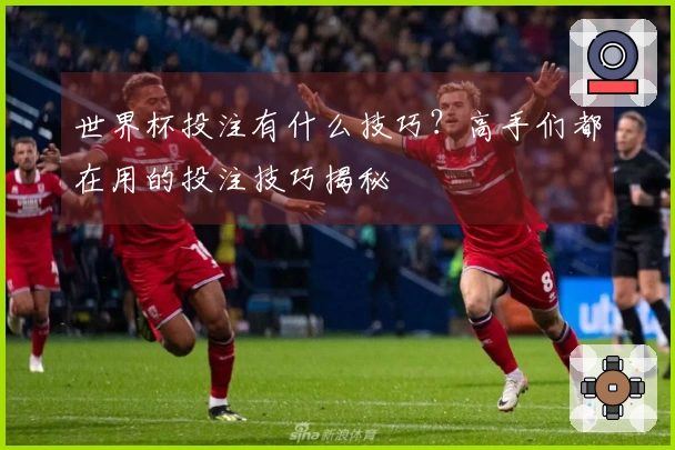 世界杯投注有什么技巧？高手们都在用的投注技巧揭秘
