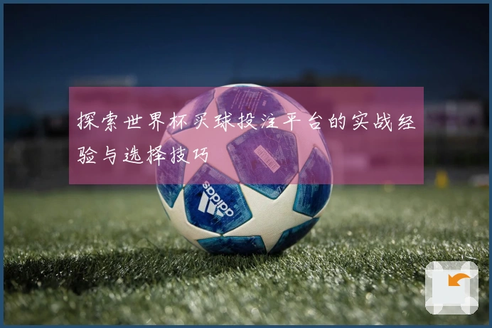 探索世界杯买球投注平台的实战经验与选择技巧