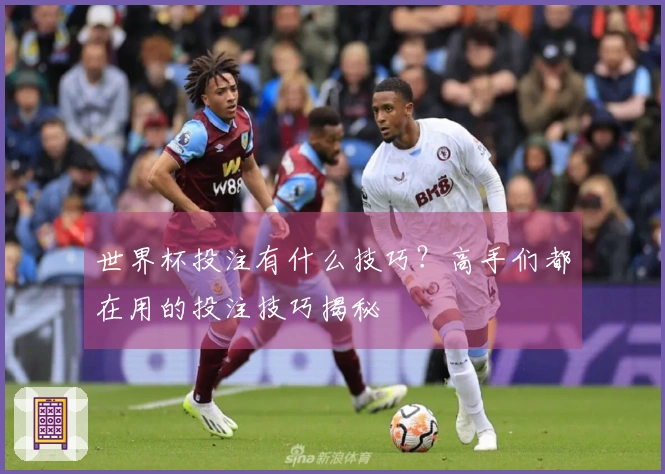 世界杯投注有什么技巧？高手们都在用的投注技巧揭秘