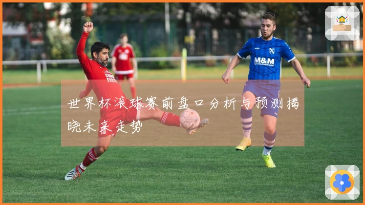 世界杯滚球赛前盘口分析与预测揭晓未来走势