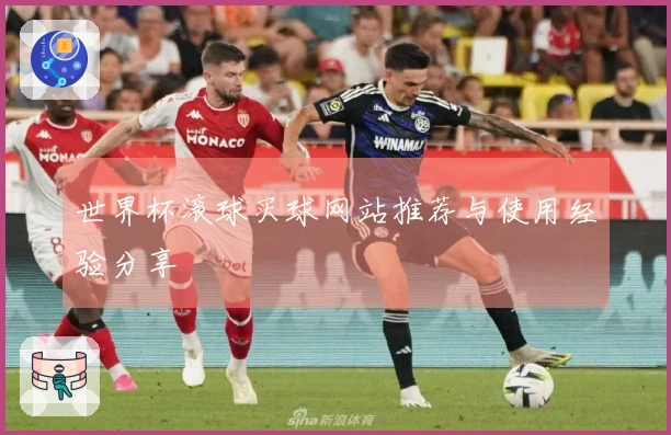 世界杯滚球买球网站推荐与使用经验分享