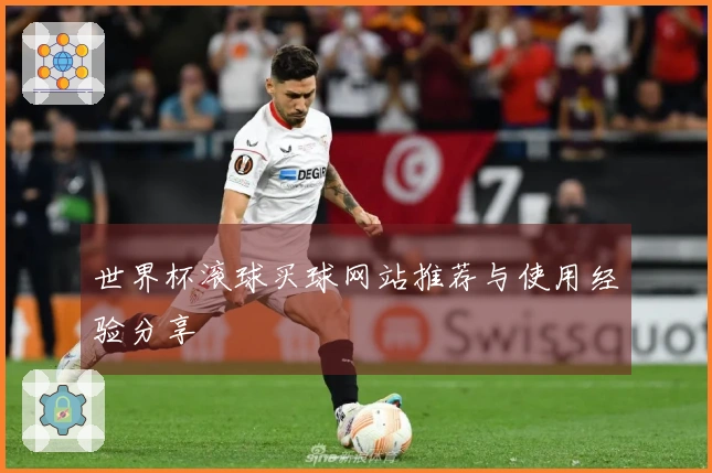 世界杯滚球买球网站推荐与使用经验分享