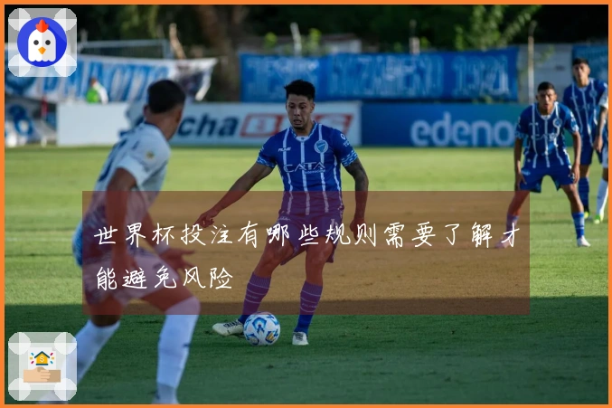 世界杯投注有哪些规则需要了解才能避免风险