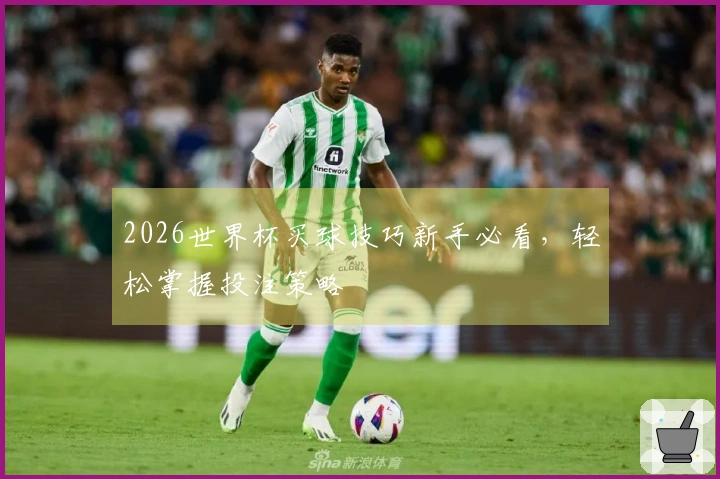 2026世界杯买球技巧新手必看，轻松掌握投注策略