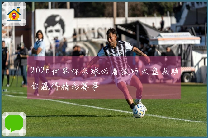 2026世界杯买球必看技巧大盘点助你赢得精彩赛事